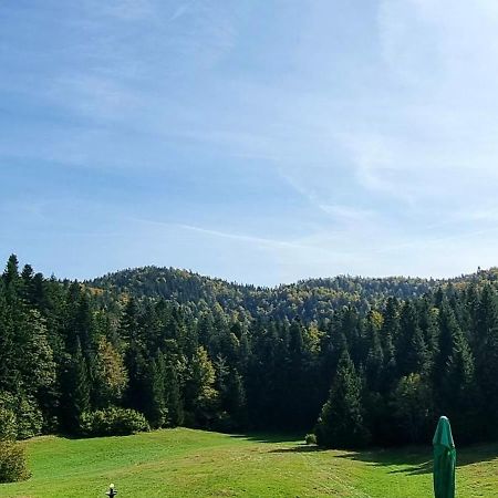 Planinski Dom Na Travni Gori Sodrazica Екстер'єр фото