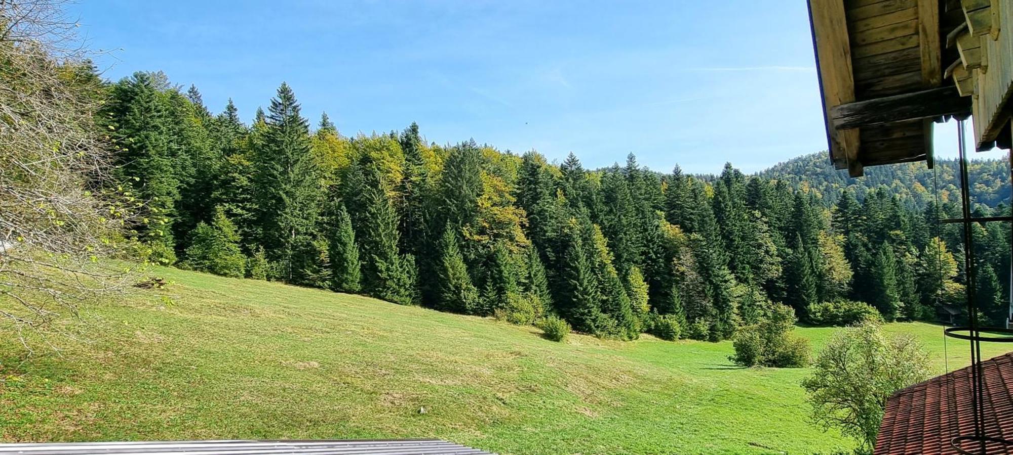 Planinski Dom Na Travni Gori Sodrazica Екстер'єр фото